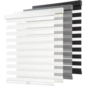 Blinds for Windows Pull Down Roller Window Shades Dual Layer Light Filtering Privacy for Day and Night, Free-Stop Door Shades for Home Easy to Install (20" W X 72" H, White)