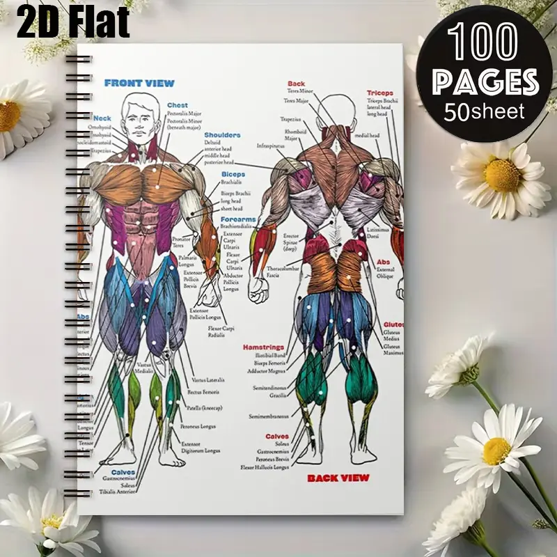 1pc Human Muscle Anatomy Spiral Notebook, 5.7x8.26 inch, Double-sided Colorful Muscle Charts, Premium Paper, Ideal for Fitness Enthusiasts, Gym Workout Log, Anatomy Study Notes, Christmas/Birthday Gift for Trainers, Students & Bodybuilders [2D] F