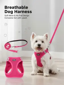 No Pull Dog Harness & Leash Set - Breathable, Soft Mesh Pet Accessory