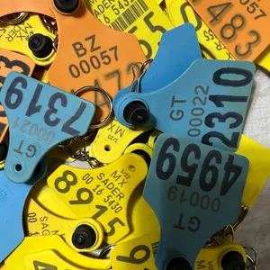 Cattle tag keychain/Llavero vaqueros de arete de ganado