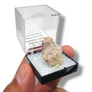 Fluorescent Hackmanite from Koksha Valley - Diverse Afghan Gems in Perky Boxes