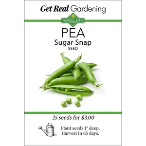 Pea - Snap - Sugar Snap Seeds