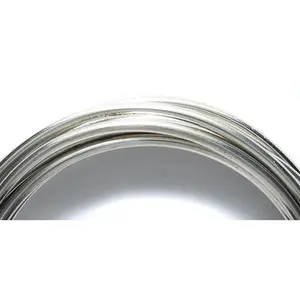 10CW812-TC: Artistic Wire 10 Gauge Tinned Copper 5 Feet