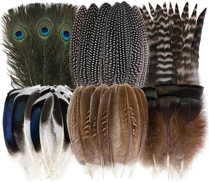 Natural Feathers Bulk Pack - 24-Piece Set with 6 Assorted Styles (Peacock, Pheasant, Turkey) for Craft DIY, Party Decorations, Masks, Hats, Ornaments