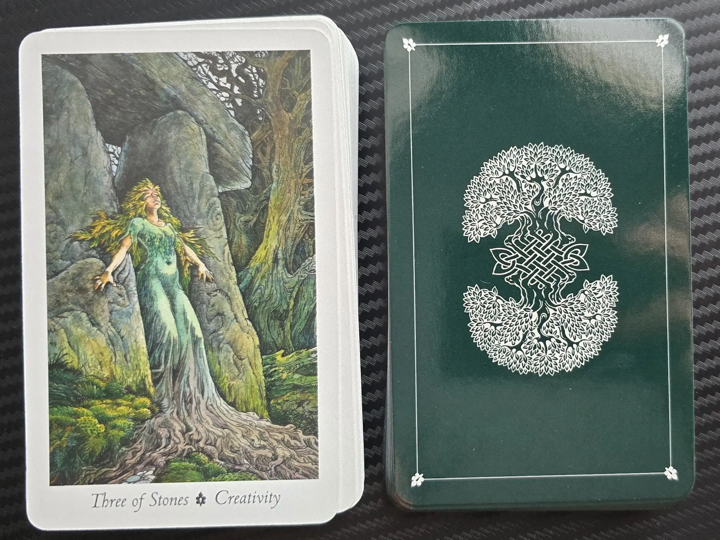 Wild the The - Resides Deck Tarot Wisdom Wherein Tarot: Wildwood