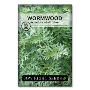 Wormwood