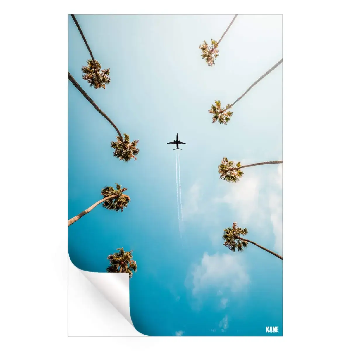 Palm Trees Peel & Stick Canvas Decal,  Stickablez Wall Art Print