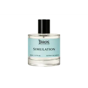 Simulation Inspired by Imagination