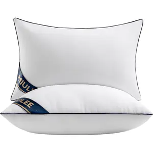 Pillow Inserts Set of 2 Throw Pillows Premium Down Alternative Lumbar Pillow Inserts Decorative Pillow Stuffer for Sofa, Couch