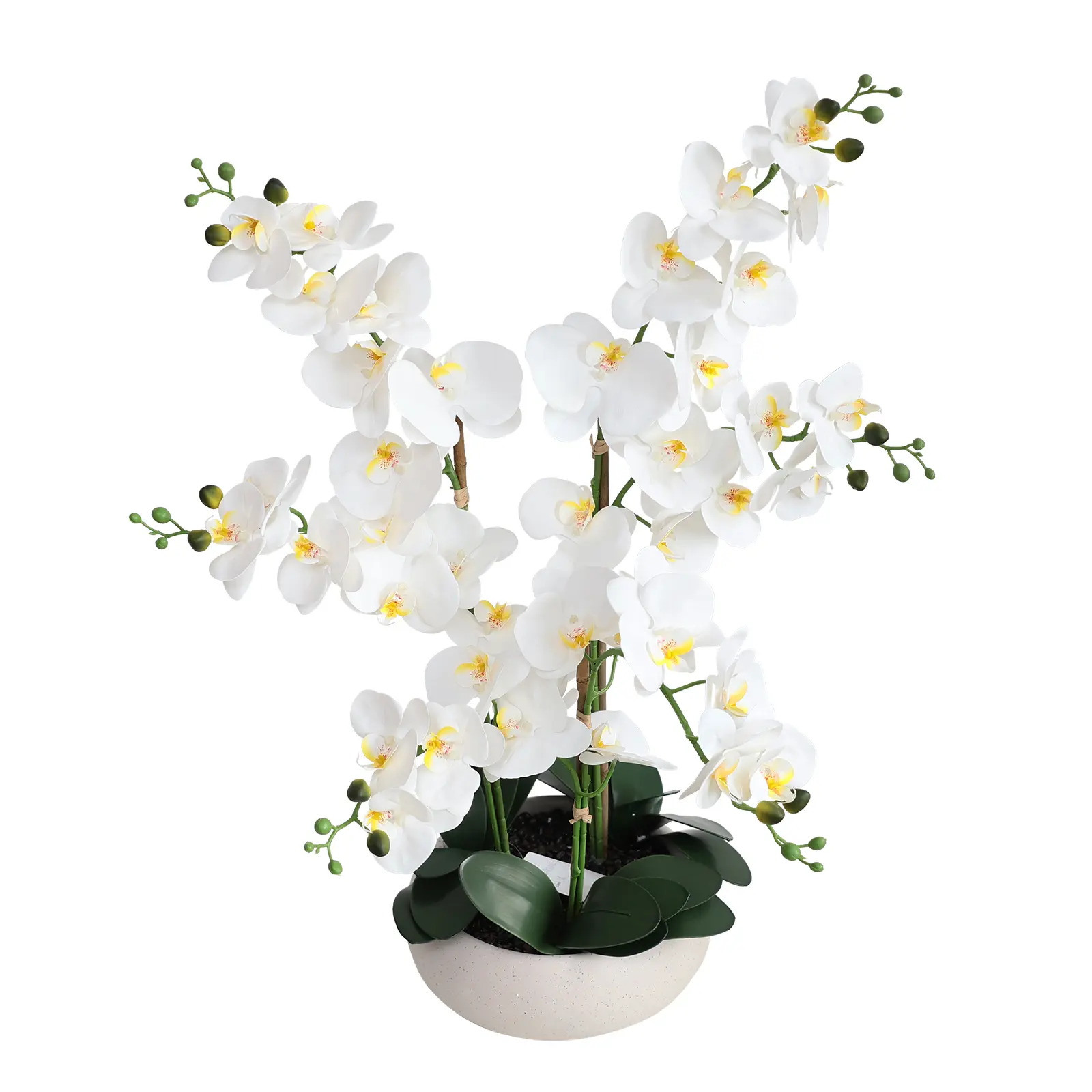 Amada Artificial Orchid Flowers & Plants Potted in Ceramic Pot, White Faux Phalaenopsis Orchids for Table Centerpiece, Realistic Fake Flower Arrangement for Home Office Decor Indoor
