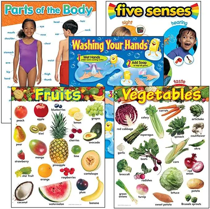 Healthy Living Learning Charts Combo Pack
