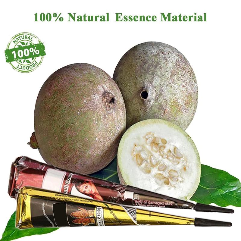 Temporary Tattoos Kit, 4Pcs Semi Permanent Tattoo Paste Cones, India Body DIY Art Painting for Women Men Teens,Summer Trend Freehand Plaste with 3 Colors,20Pcs Adhesive Stencil,1Pc Bottle,4Pcs Nozzles