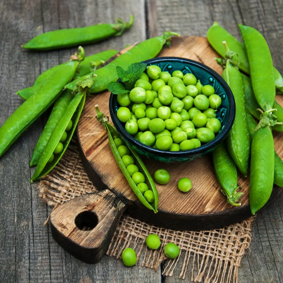 Organic Sugar Daddy Snap Pea Seeds (Pisum sativum) – 15+ Seeds for Stringless, Sweet Snap Peas, Perfect for Fresh Eating