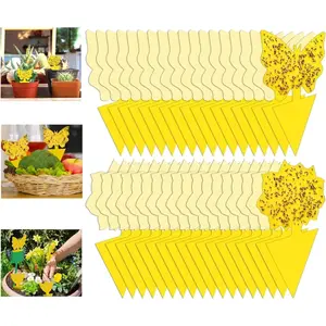 6 Pack Fruit Fly Trap for Indoor, Gnat Traps for House Indoor, Fungus Gnat Killer Sticky Traps for Plants, Mosquitoes, Flying Insects