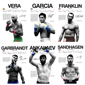 UFC Boxing Champion Career Stats  Iconic Moment Canvas Poster, Gabe Grant, Sanghagen, Garcia and more fighter signature style prints, vintage black and white honor data  Classic KO Moment Wall Art, personalized decor suitable for men's