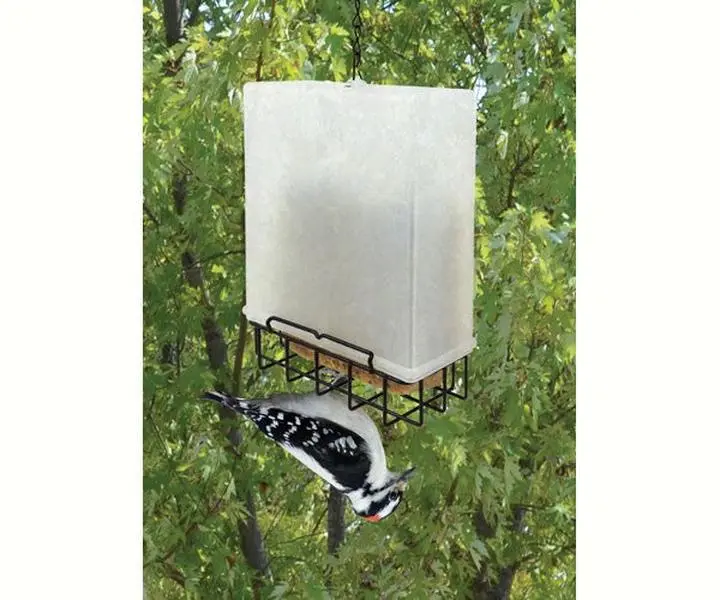 Suet Saver Feeder Suet Saver Feeder