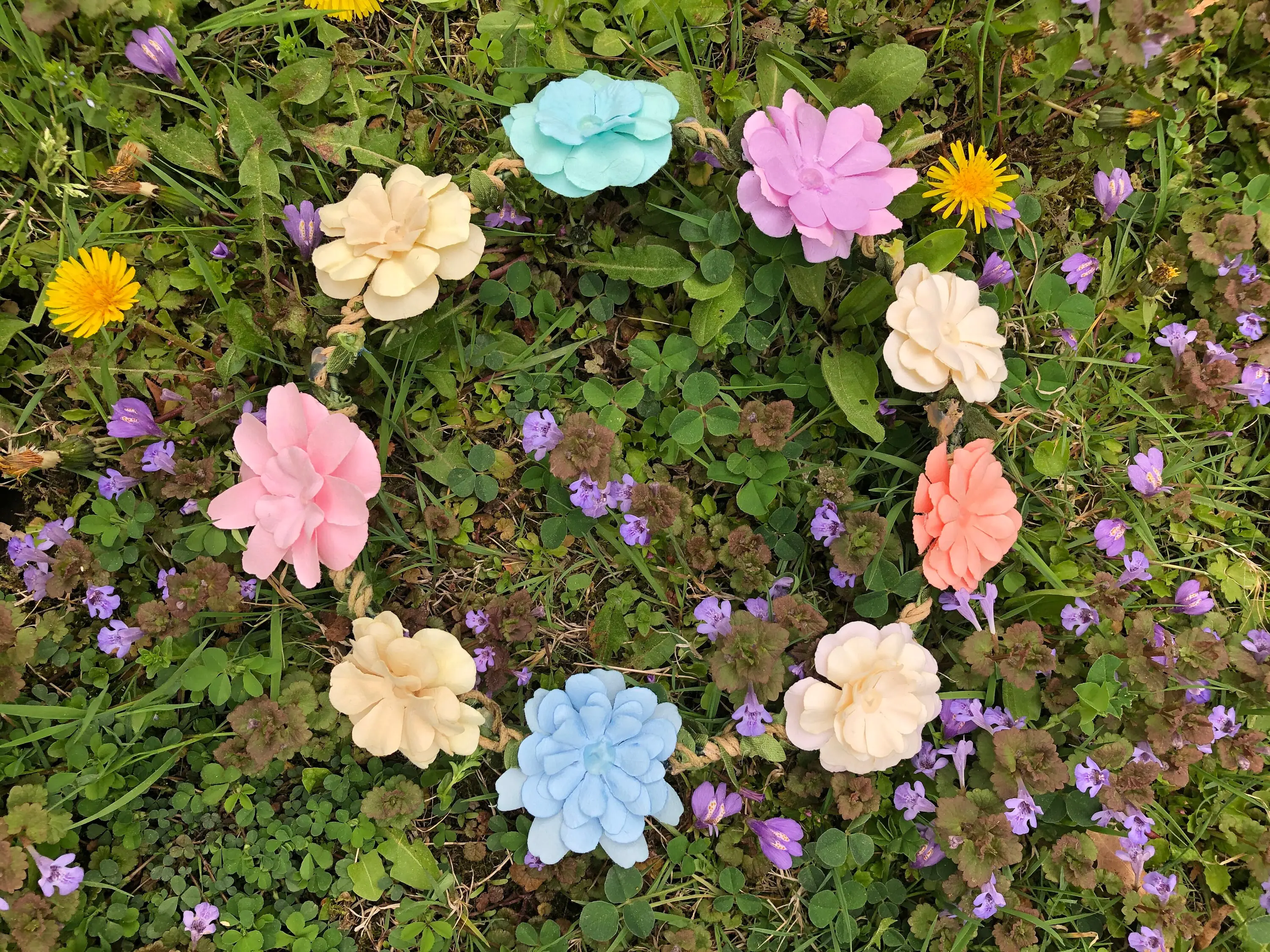 Flower Crown