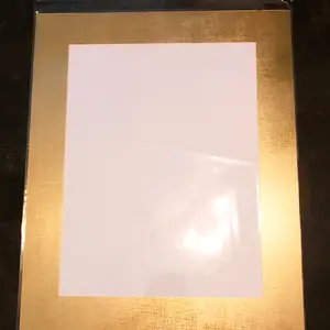 Gold 16×20 Picture Mat for Framing with White Core. Comes with Backing Board & Plastic Sleeve. Use for Framing 12×16 Caricatures, Photos, or Artwork. Golden