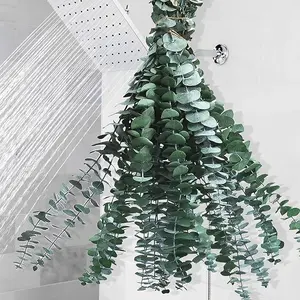 10 Pcs Dried Eucalyptus for Shower Hanging - 17'' Stems Green Home Decor, 100% Made from Fresh Eucalyptus Leaves, Bathroom Shower Decor, Wedding, DIY