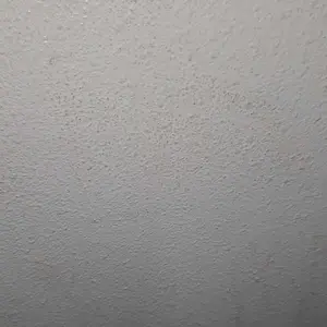 review image 5