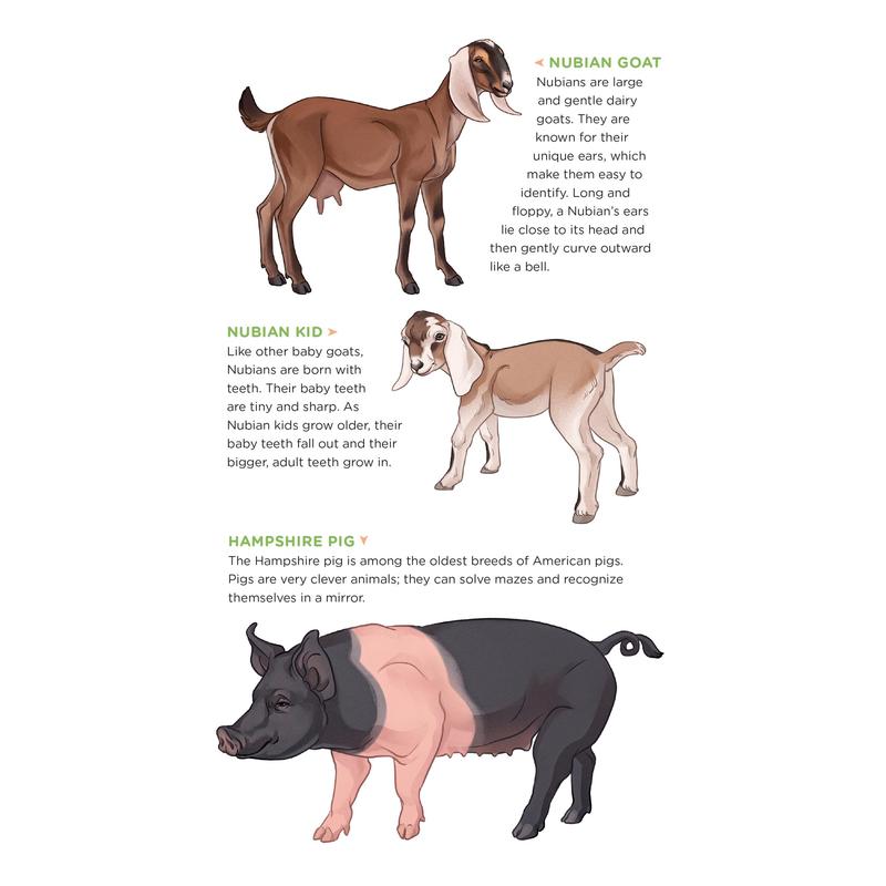 Busy Barnyard of Tattoo Farm Animals