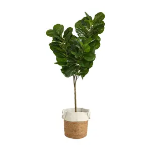 6' Fiddle Leaf Fig Jute/Cotton Planter by Nearl y Natural