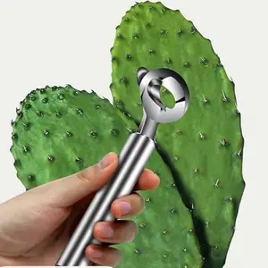 Spoon Cactus Peeler, Multi-Function Pelador De Nopales Con Espinasstainless Steel Cactus Peeler Tool Noodle Cutter Knife With Hole With Long Handle For Kitchen Gadgets Accessory TikTokShopBacktoSchool