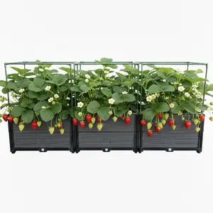 Innovative all-in-one planting solution with stackable planter boxes and various accessories, embedded smart drainage system to prevent root rot,meet all kinds of planting needs,works for garden, patio and balcony, suitable for both beginners and pros