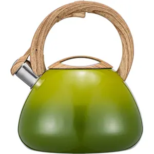 Whistling  Kettle for Stove Top, 2.6 Quart Teapot for Stovetop, Stainless Steel  Pot for Stove with   Handle, Light Green
