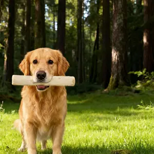 1pc Made From Natural Coffee Wood Dog Chew Sticks Durable Chew Teeth Cleaning And Chewing Suitable For Dogs/Puppy To Relieve Stress And Release Energy, Suitable For All Seasons