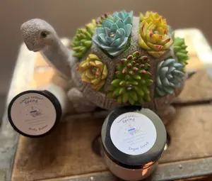 Handmade Coconut Water & Pineapple Scented Sugar Scrub and Whipped Body Butter Set *Limited Edition*~ Spring
