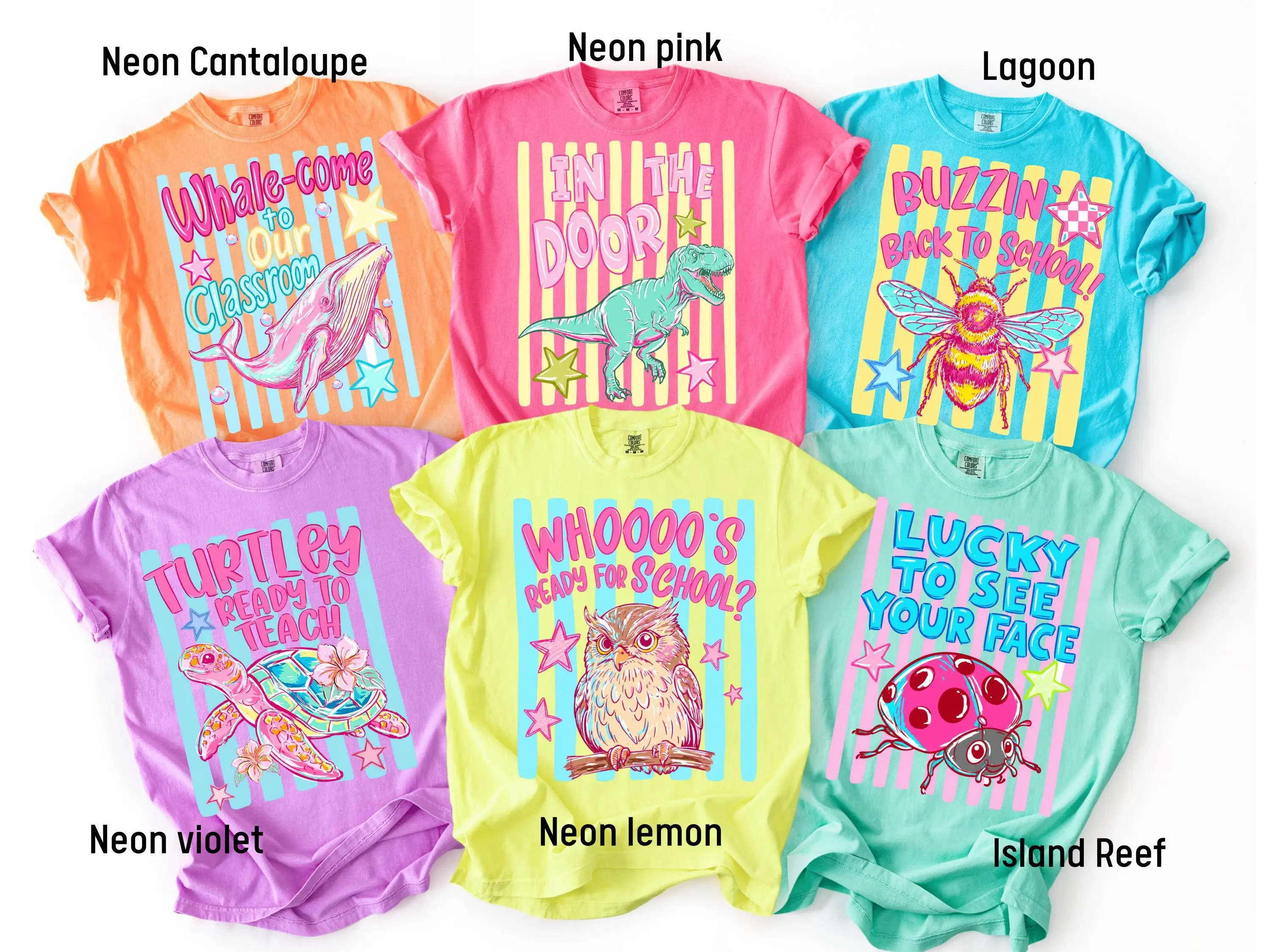 Funny Teacher Shirt, Back to School Teacher Tee, Comfort Colors Teacher Shirt, Cute Animal Teacher Shirt, First Day of School