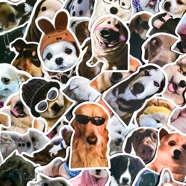 Paws & Laughs 5 Random Cute Dog & Cat Meme Stickers