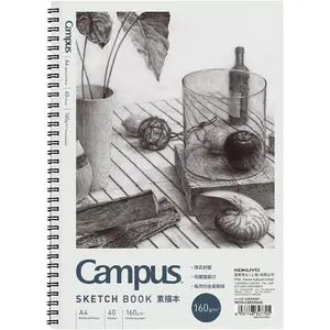 9" x 12" Sketch Book, Spiral Bound Sketch Pad, 40 Sheets 160gsm Acid-Free Drawing Paper, Art Sketchbook for Drawing Pad for Kids Artists & Beginners Professional Art Supplies for Adults