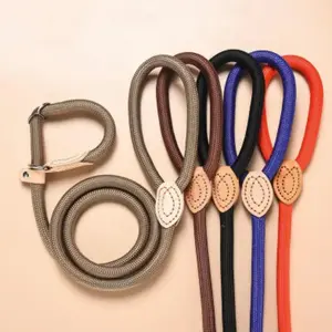 New Dog Leash Slip Rope Lead Leash Heavy Duty Braided Rope Adjustable Loop Collar Training Leashes for Small Medium Dogs
