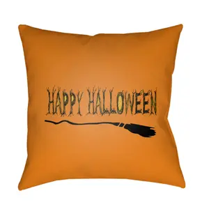 Livabliss BOO122-2020 20 x 20 x 4 in. Boo Square Throw Pillow, Orange