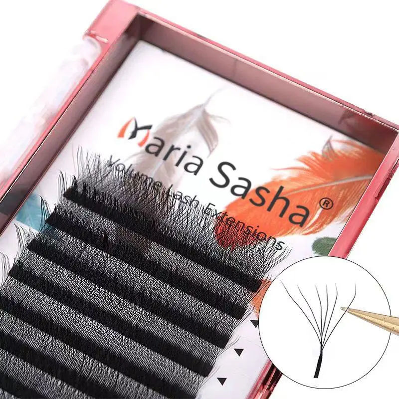MARIA 6D W Style  Eyelash Extensions Supplies Easy Fan Lashes Wholesales Premade Volume 12 Rows Natural Soft Private Logo 2026 New