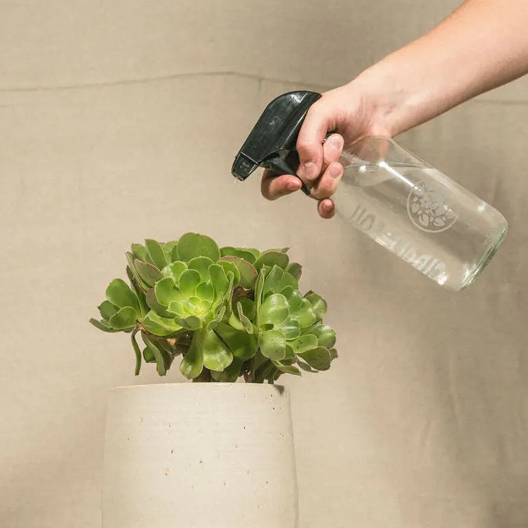 Glass Spray Bottle