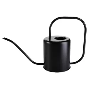 2-Liter Stainless Steel Watering Can, Garden Watering Can with Long Spout, Durable & Rust-Resistant, Perfect for Outdoor Gardening