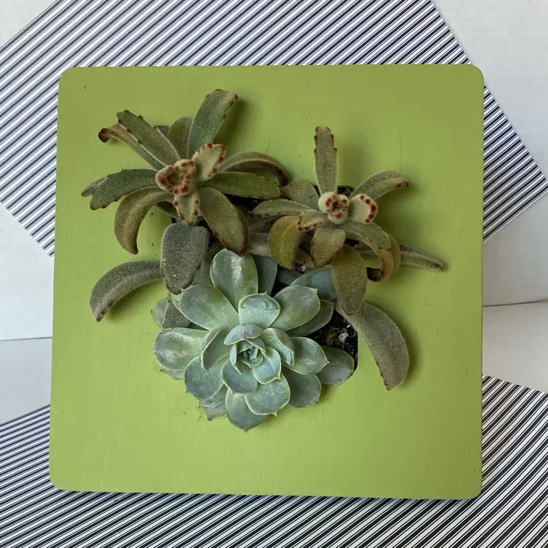 Vivid Green Decor Decorative, Living Art, Vertical  wall Garden Plant Poster