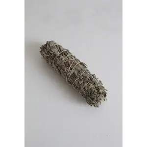 Miniature Common Sage Bundle