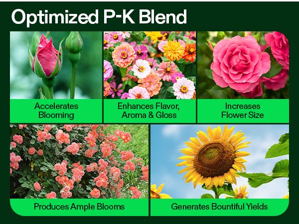 VIVOSUN Bloom Juice (0-6-4), Flowering Supplement Liquid Fertilizer for Flowering Stage, Concentrated Plant Food for All Flowering Plants, 32 Ounces/1 Quart