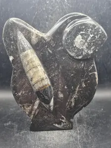 Orthoceras ammonite statue! 1.5 pounds, 6.2 inches tall, 5.2" wide