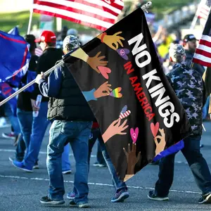 No Kings in America Flag, Anti-Trump, Protest Flag, Democracy Flag, Protest, Gift for Anti-MAGA, Patriotic Flag, Liberal House Flag