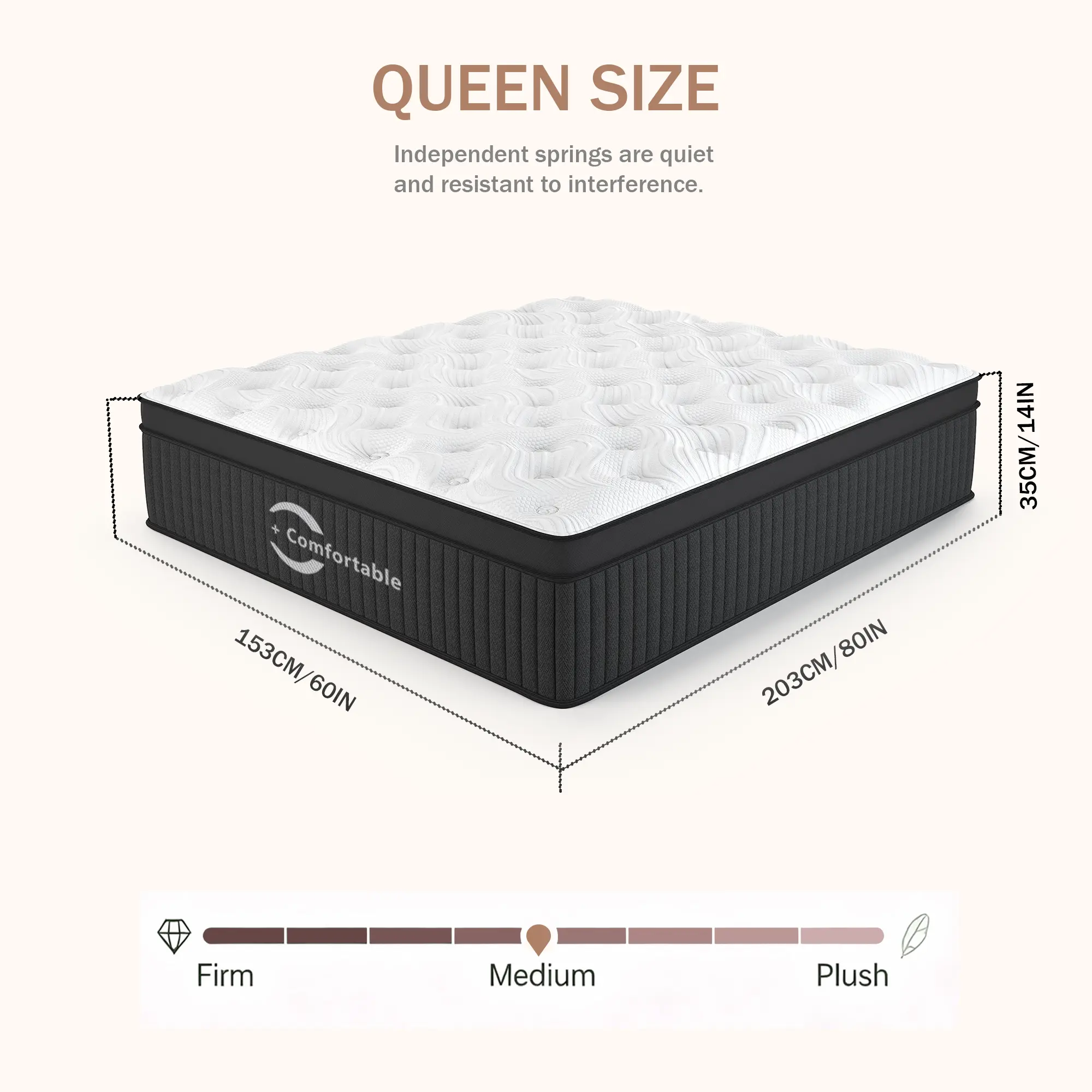 Queen-Panda Color