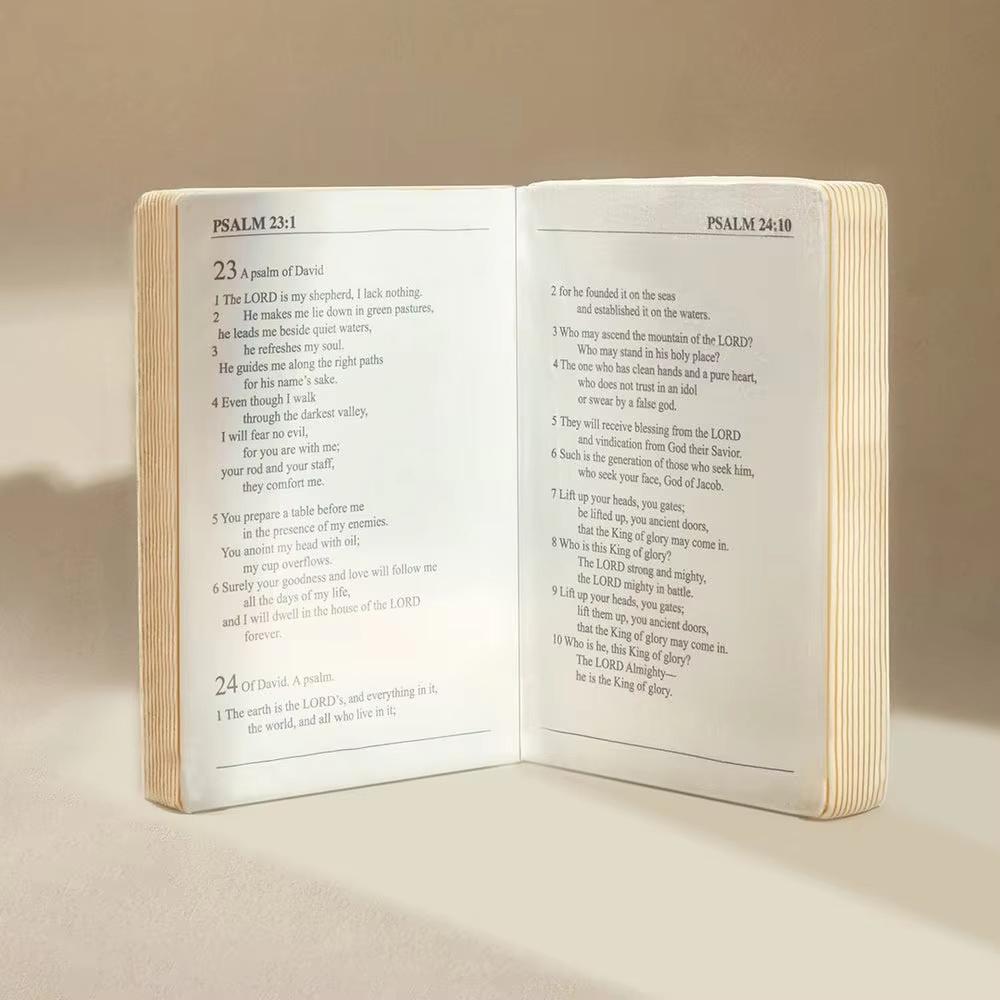 Cuddle Up with Faith: The Huggable Red Bible Pillow for Kids 3 Cuddle Up with Faith: The Huggable Red Bible Pillow for Kids 3