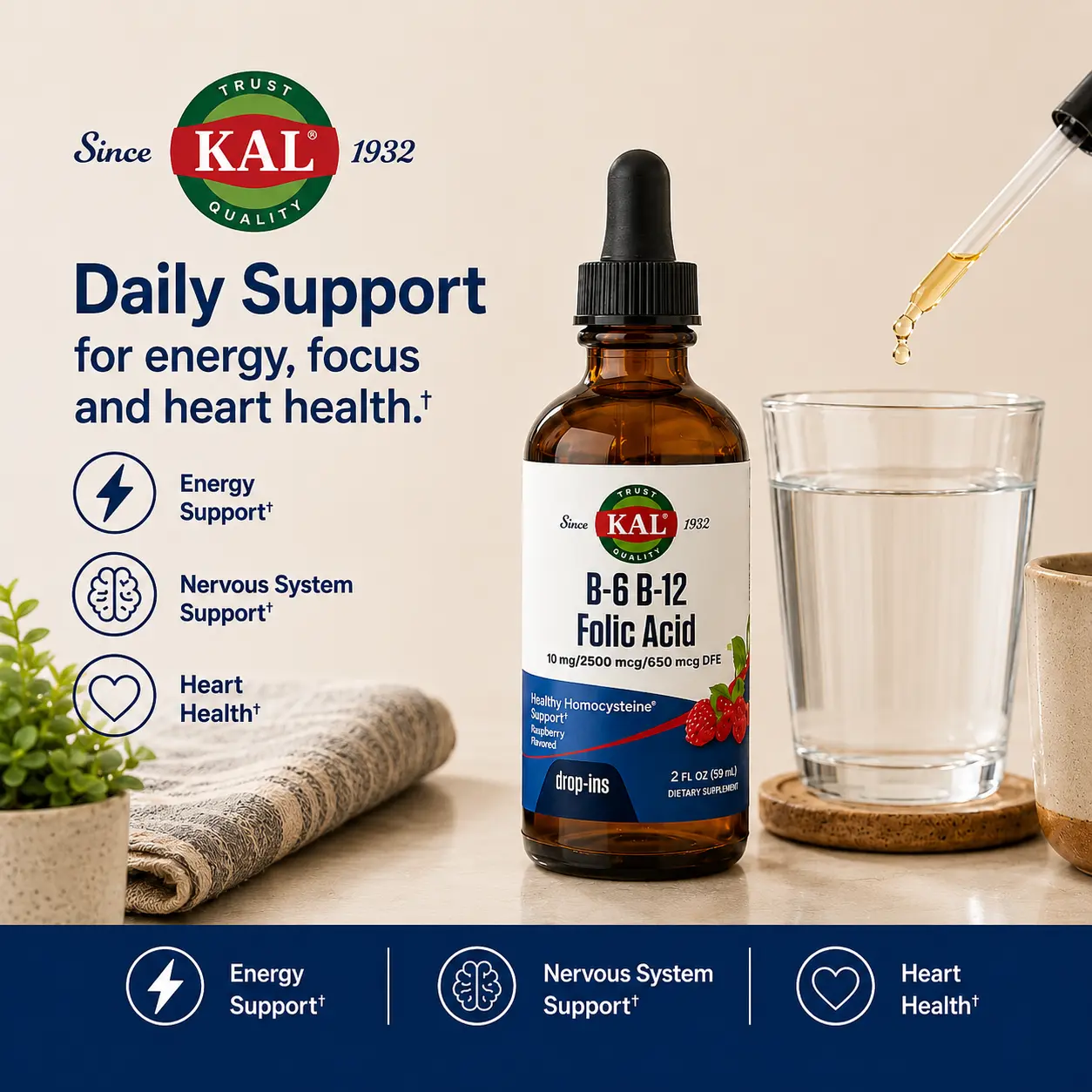 KAL B-6 B-12 Folic Acid DropIns — Liquid Energy Drops — Mom Daily Energy