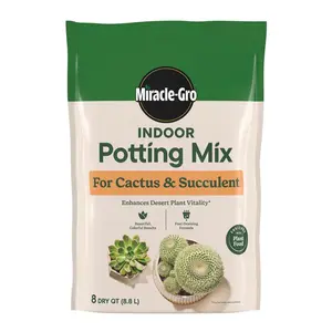 Indoor Potting Mix for Cactus and Succulent 8 qt. Fast-Draining Cactus and Succulent Potting Soil with Plant Food