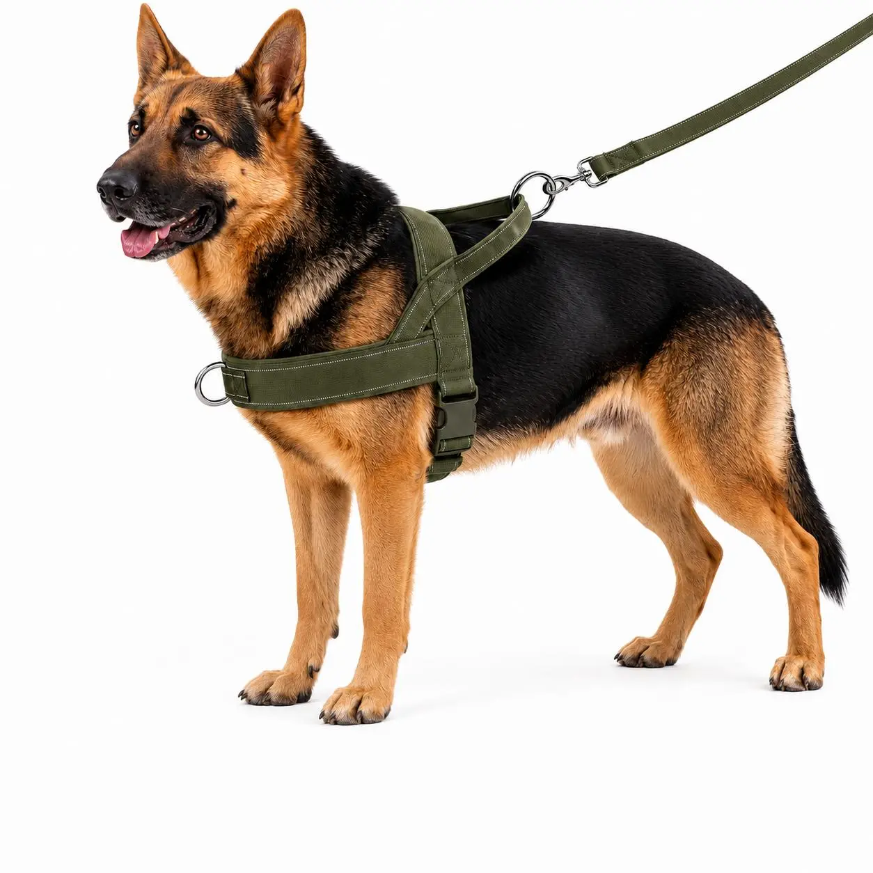 Nylon Fabric Dog Harness - Adjustable, Chafe-Resistant Straps, Easy-to-Fit No-Pull Design, Safe Fit, Dual Rings for Small-Medium-Large-XLarge Dogs