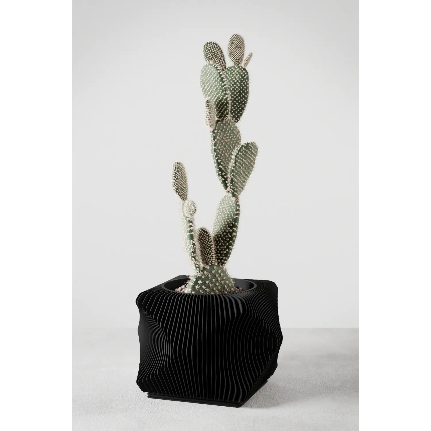 Xenova Planter